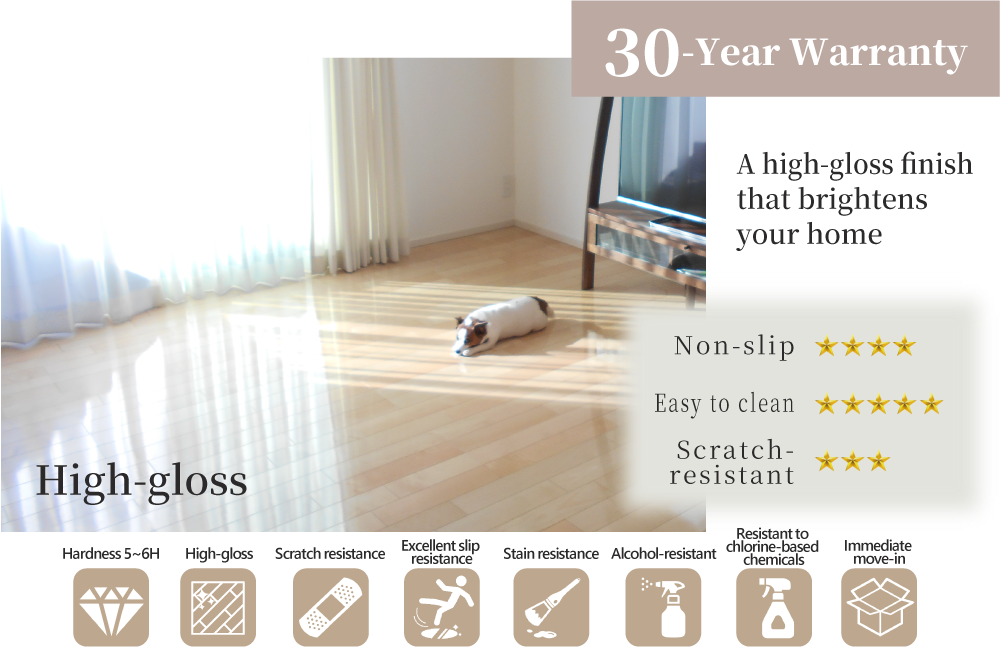 ドッグライフコートスタンダード