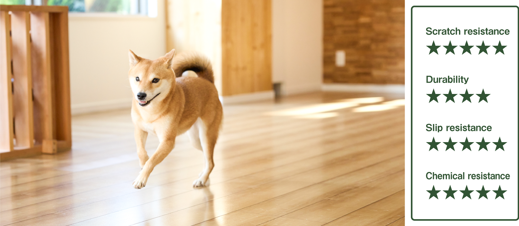 ドッグライフコートプレミアム