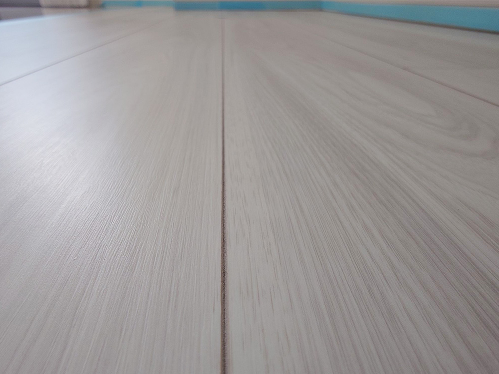 ドッグライフコートスタンダード