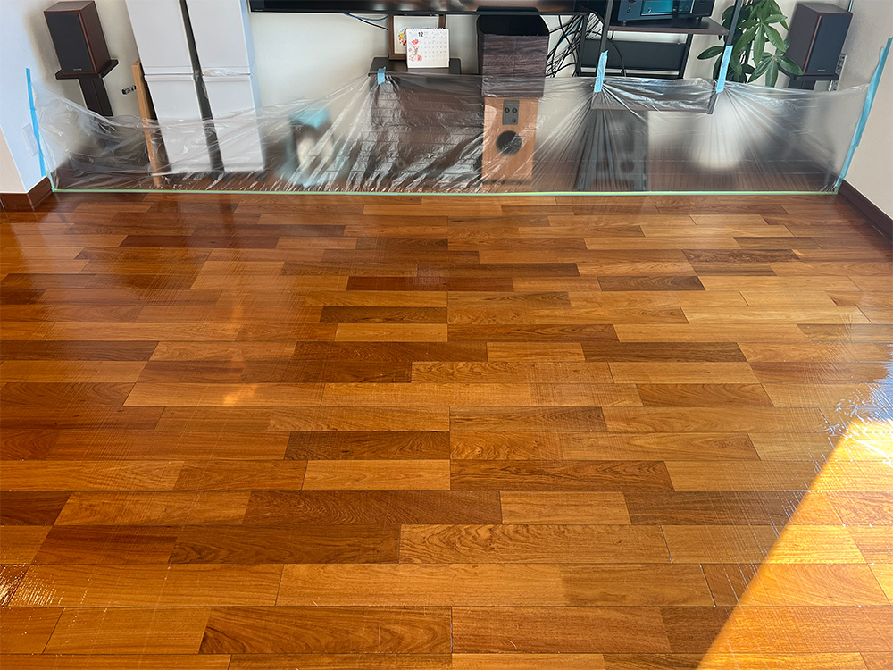 ドッグライフコートスタンダード