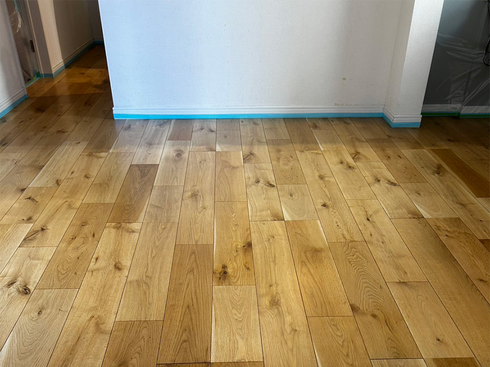 ドッグライフコートプレミアム