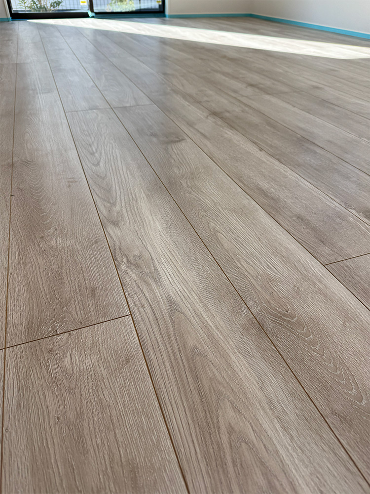 ドッグライフコートプレミアム