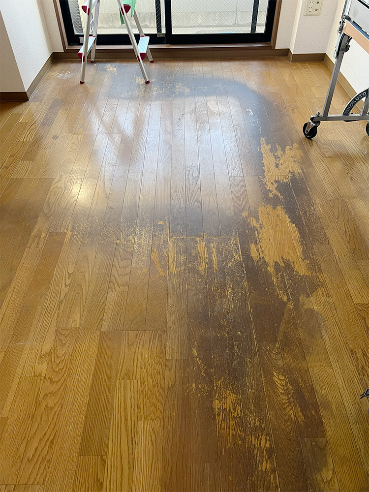 グッドライフコート色