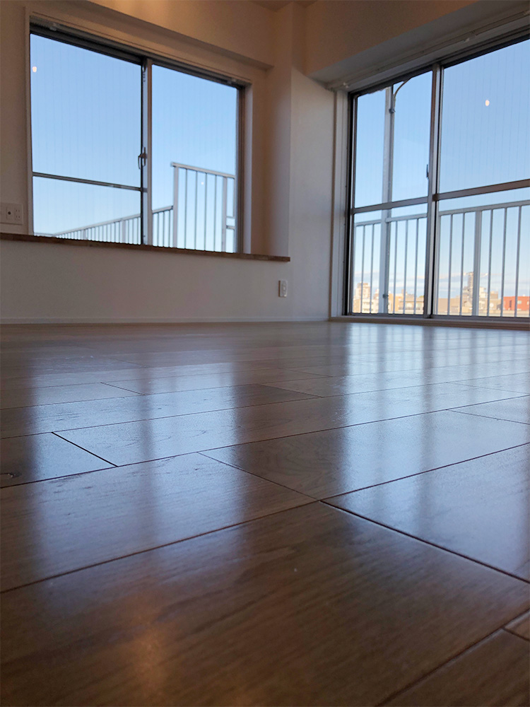 ドッグライフコートプレミアム