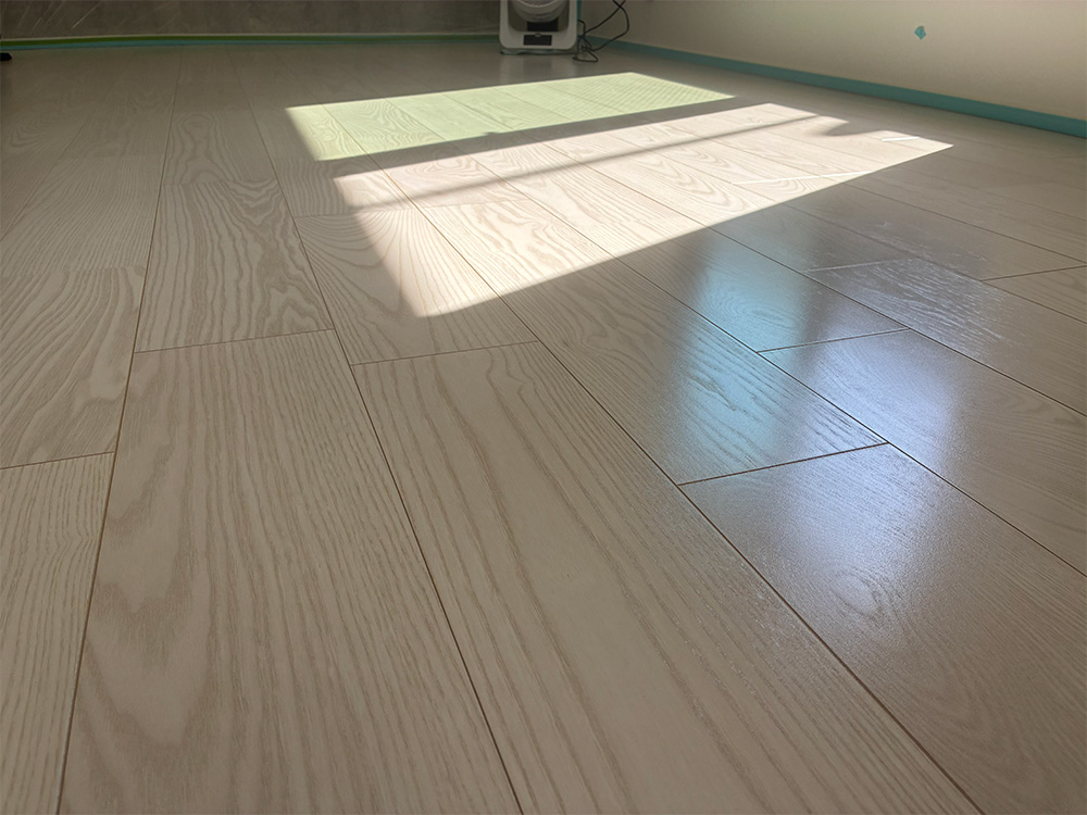 ドッグライフコートスタンダード