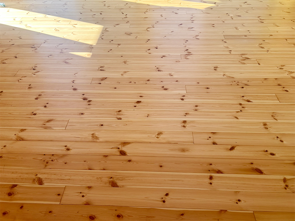 DOG LIFE地板涂层