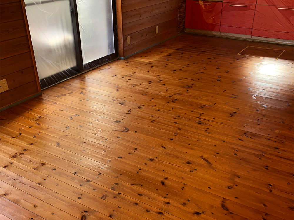 ドッグライフコートプレミアム