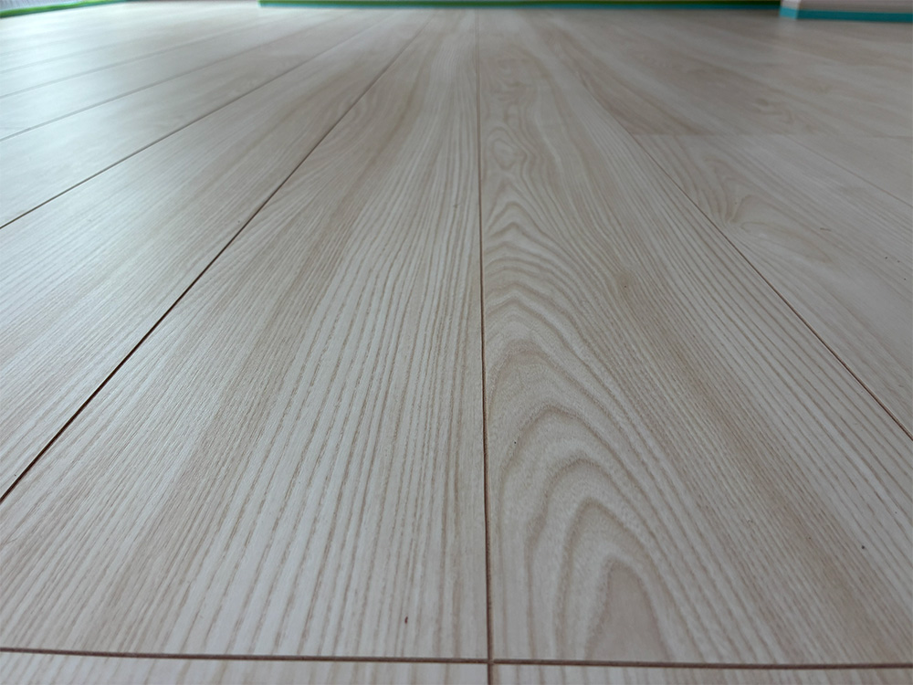 ドッグライフコートプレミアム