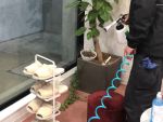 ハイブリッド光触媒GLコート